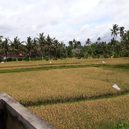 Umah Dangin Guest House Ubud  Ngoại thất bức ảnh