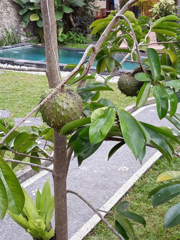 Umah Dangin Guest House Ubud  Ngoại thất bức ảnh