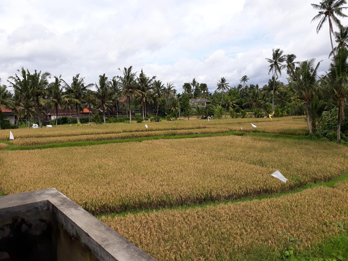 Umah Dangin Guest House Ubud  Ngoại thất bức ảnh